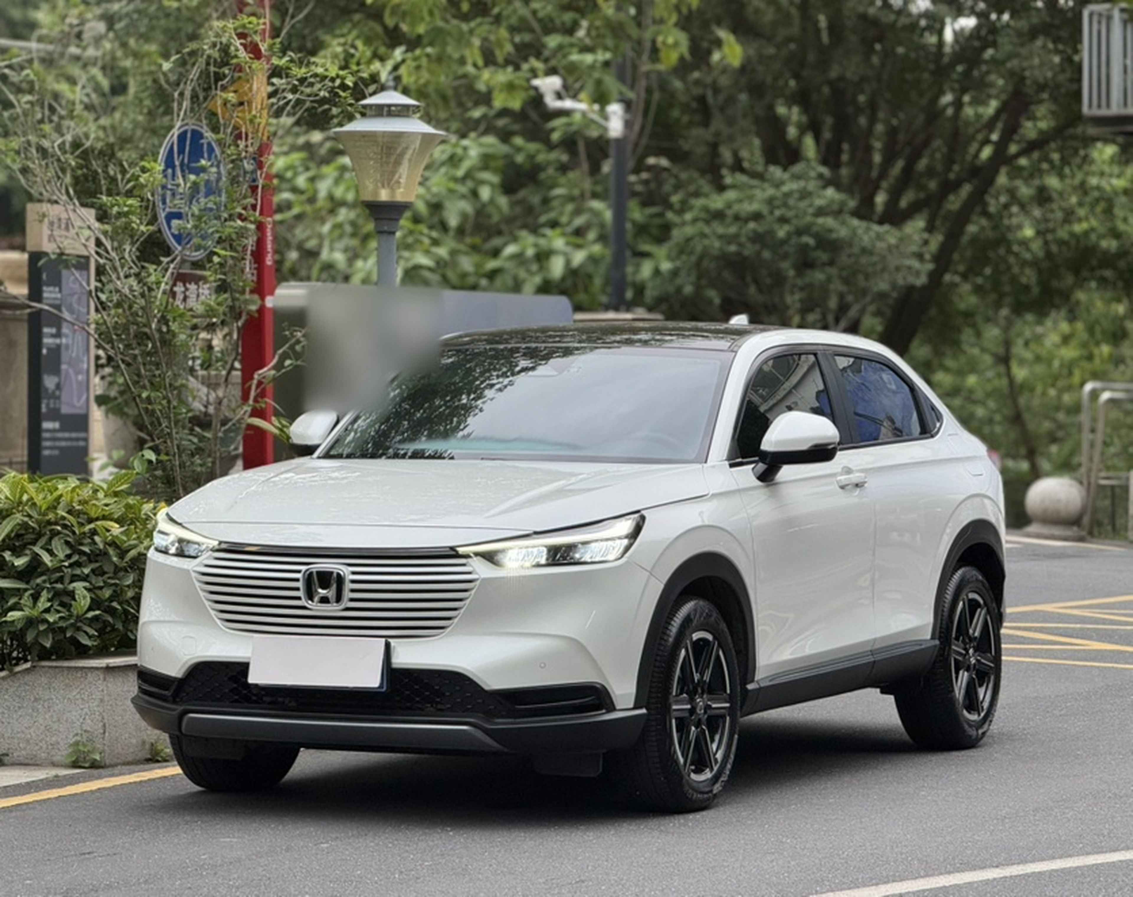 Parte inferior delantera