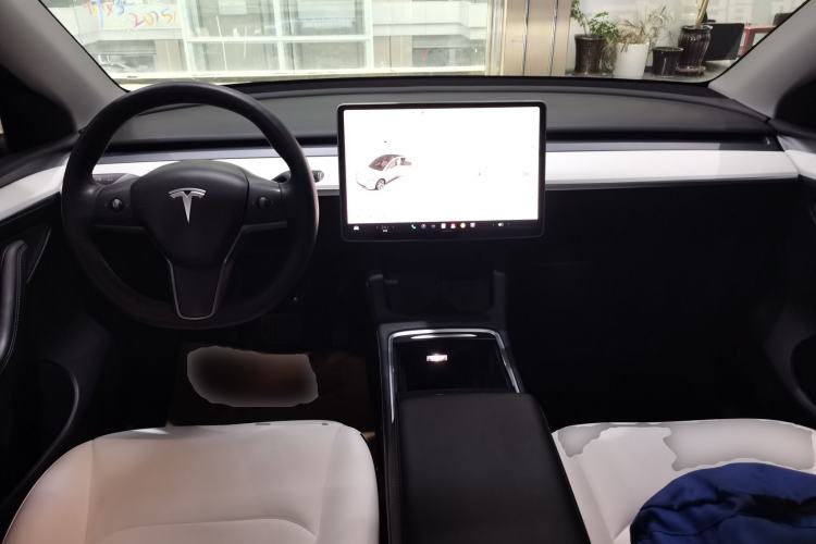 Used Tesla Model Y 2021 Standard Range Rear-Wheel Drive Version
