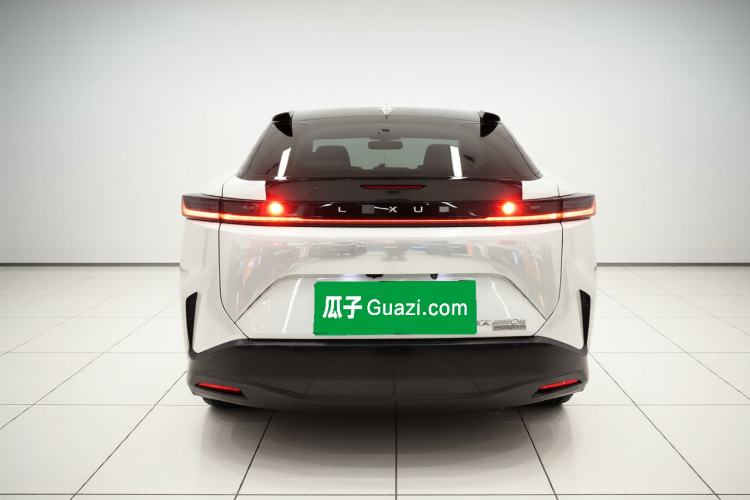 Used Lexus RZ 2023 450e All-Wheel Drive Luxury Edition Rear