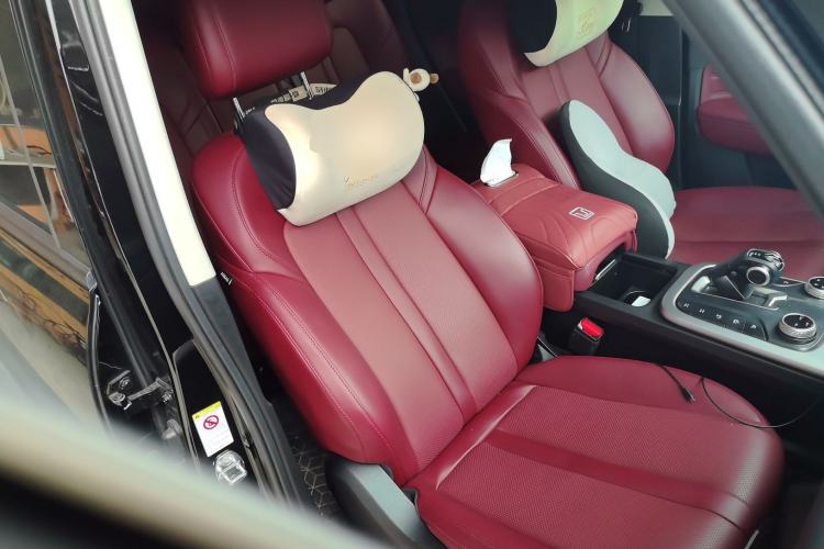 Used Tank 300 2024 2.0T Conqueror