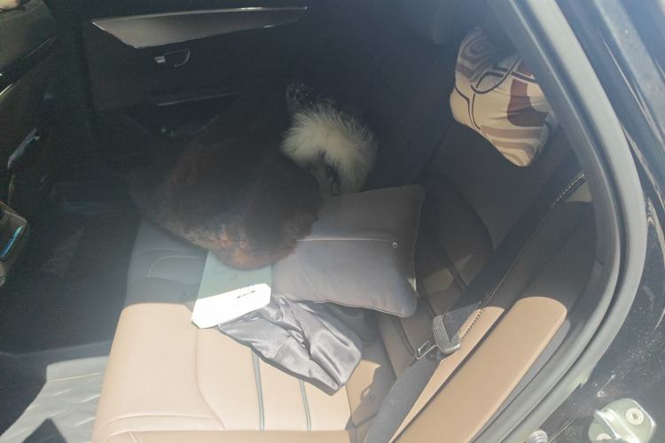 Used BYD Han 2020 EV Long-Range Luxury Model
