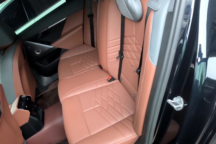 Used BMW 5 Series 2024 530Li Luxury Package Premium Edition Left Rear Seat