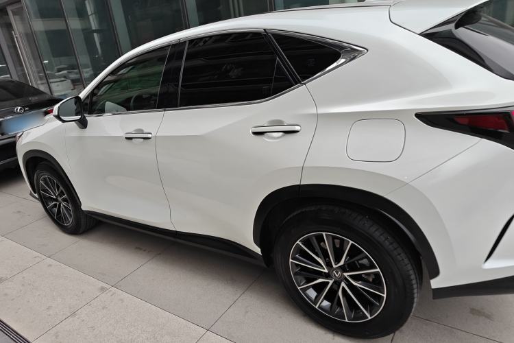 Used Lexus NX 2023 260 Front-Wheel Drive ChuanYou Special Edition

