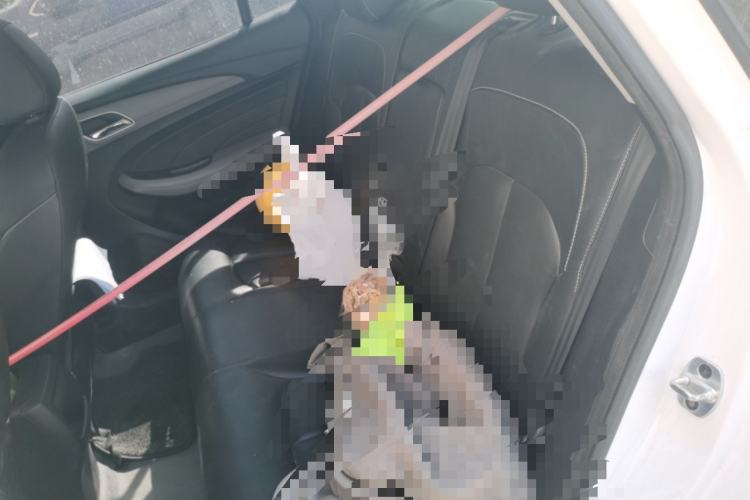 Used Roewe Ei5 2018 Internet Luxury Edition Left Rear Seat