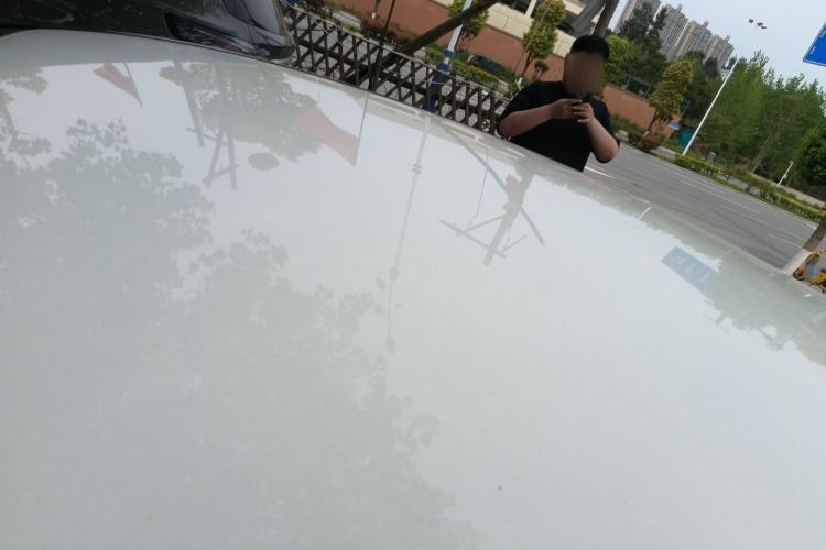 Used Ford Focus 2017 Hatchback 1.6L Automatic Comfort Plus SmartDrive Edition
