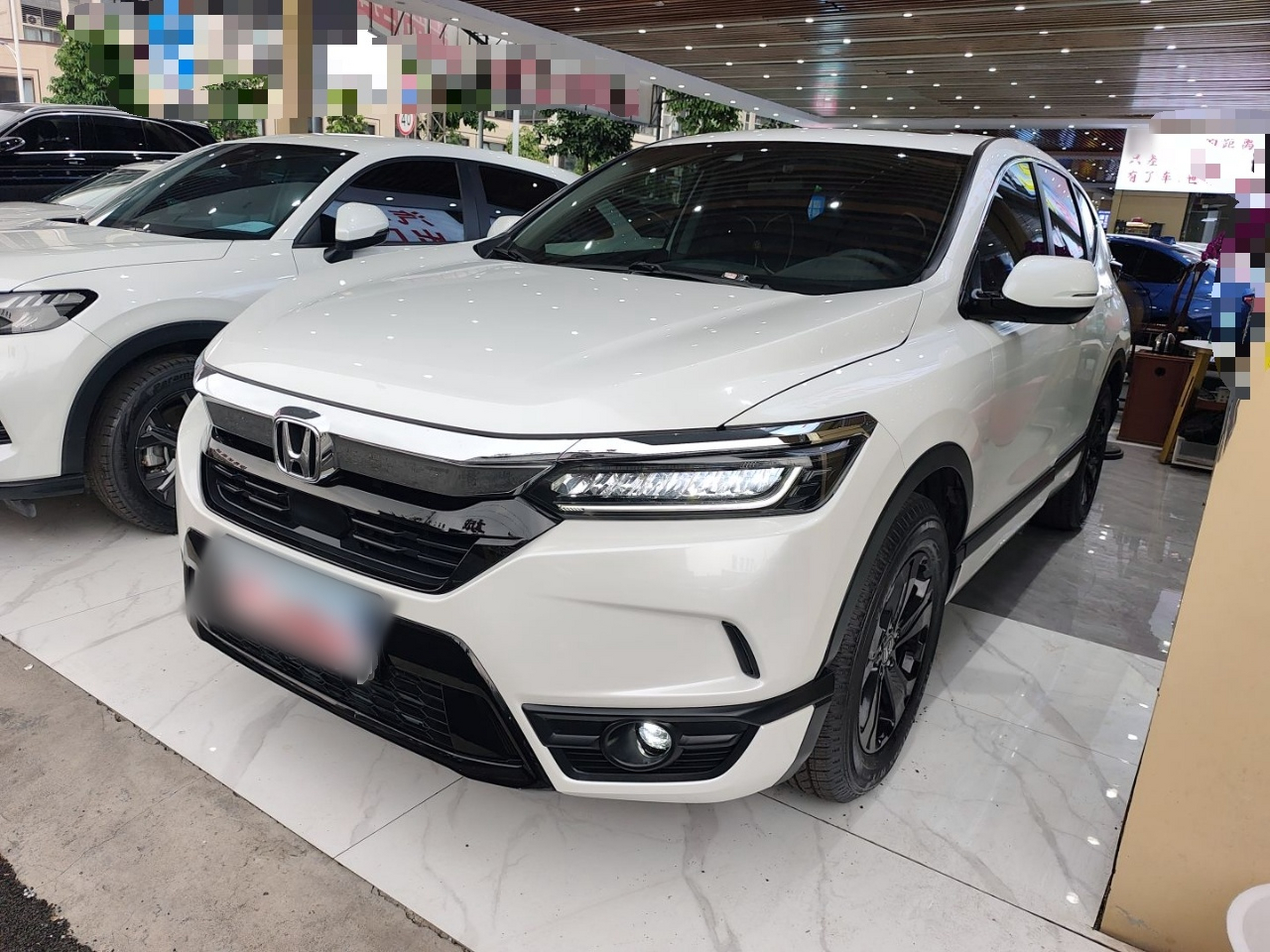 Parte inferior delantera