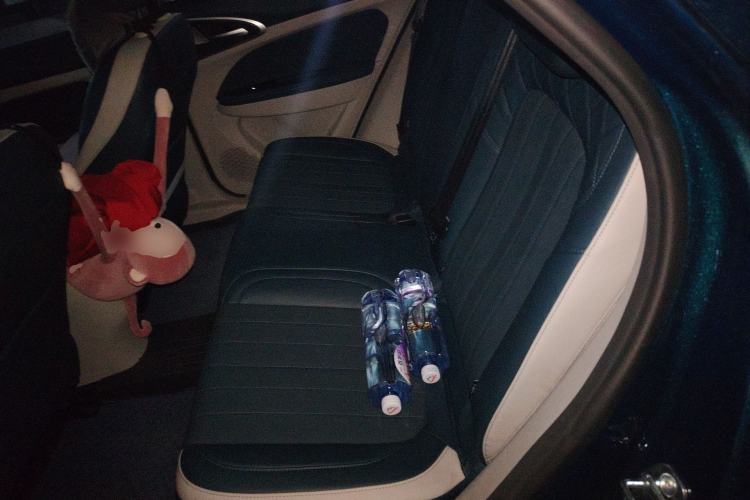 Used ORA Good Cat 2022 400km Standard Range Luxury Version Lithium Iron Phosphate Left Rear Seat