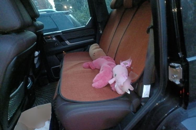 Used BAIC Off-Road BJ80 2020 3.0T Automatic Supreme Edition Left Rear Seat