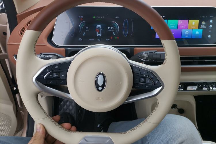 Used ORA Good Cat 2022 Morandi Edition 400km Standard Range Luxury Version Lithium Iron Phosphate Steering Wheel