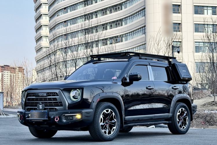 Used Haval DARGO 2022 2.0T DCT 4x4 Chinese Rural Dog Hunting Edition