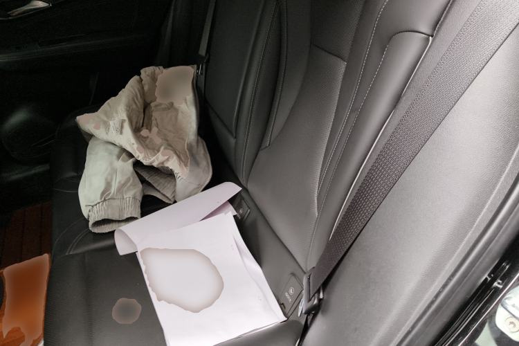 Used Buick Envision 2022 Encore S 552T Two-Wheel-Drive Luxury Model Left Rear Seat