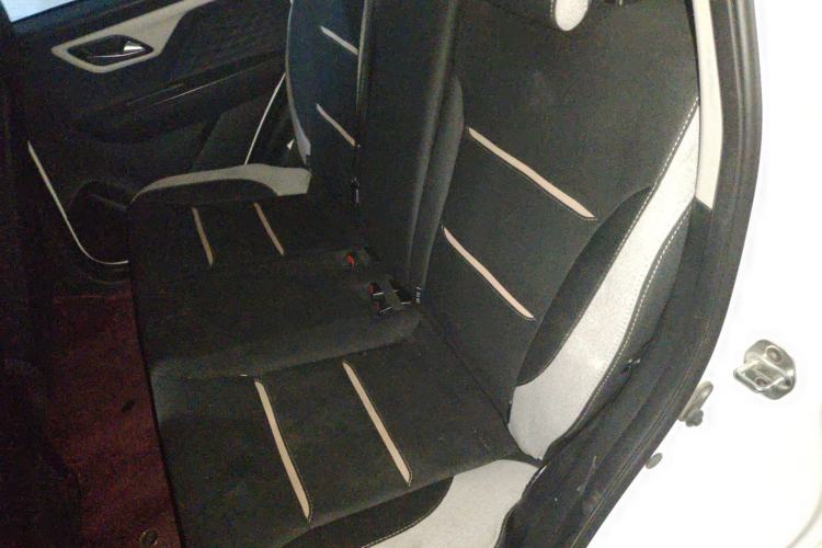 Used SOL E10X 2022 Flower Fairy Design Four-Leaf Clover Left Rear Seat