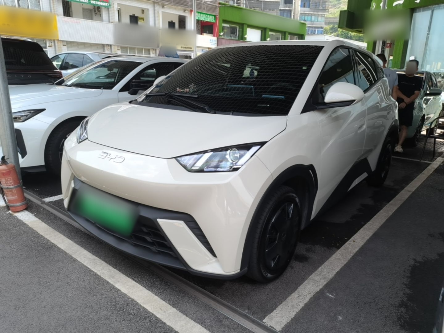 Under Front Bumper