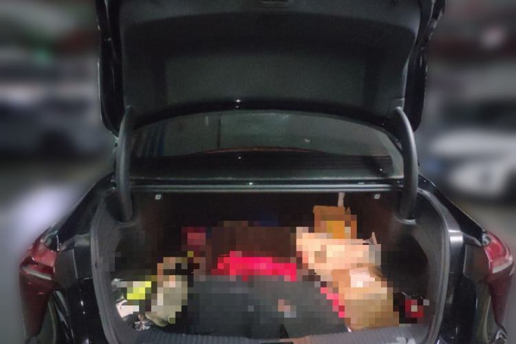 Used Hongqi H5 2024 2.0T Automatic Smart Connect Flagship Edition