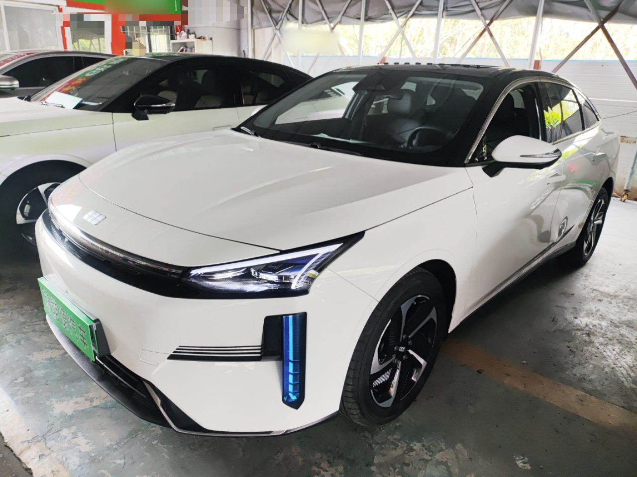 Parte inferior delantera