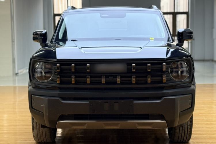 Used Haval X DOG 2022 1.5T DCT Two-Wheel Drive Trendy & Cool Edition
