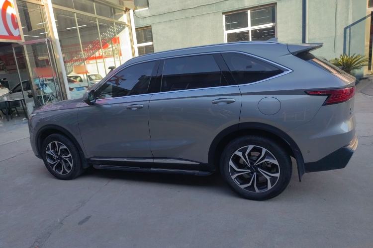 Used Haval Fierce Dragon Max 2023 1.5L Hi4 105 Four-Wheel Drive Smart Flagship Edition Left Side