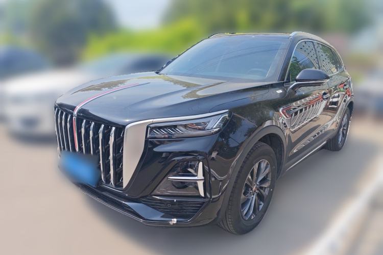 Used Hongqi HS5 2025 2.0T Two-Wheel Drive 600 000-Vehicle Commemorative Edition