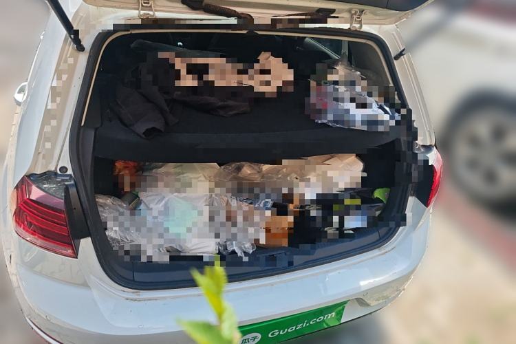 Used Volkswagen Golf Pure Electric 2020 Chari