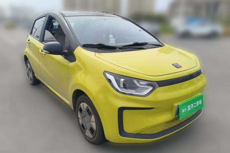 Used SOL E10X 2022 Flower Fairy Design Four-Leaf Clover
