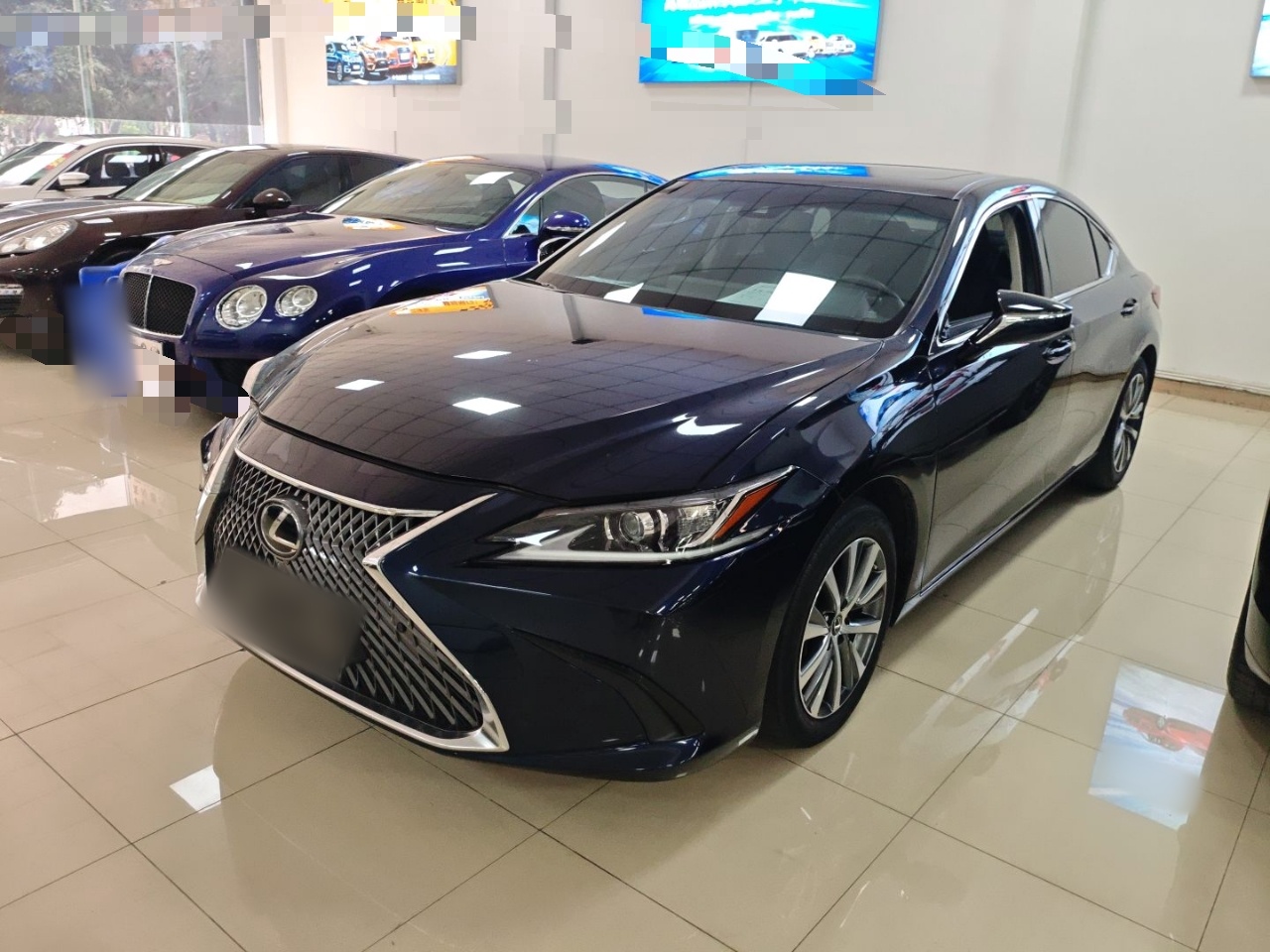 Parte inferior delantera