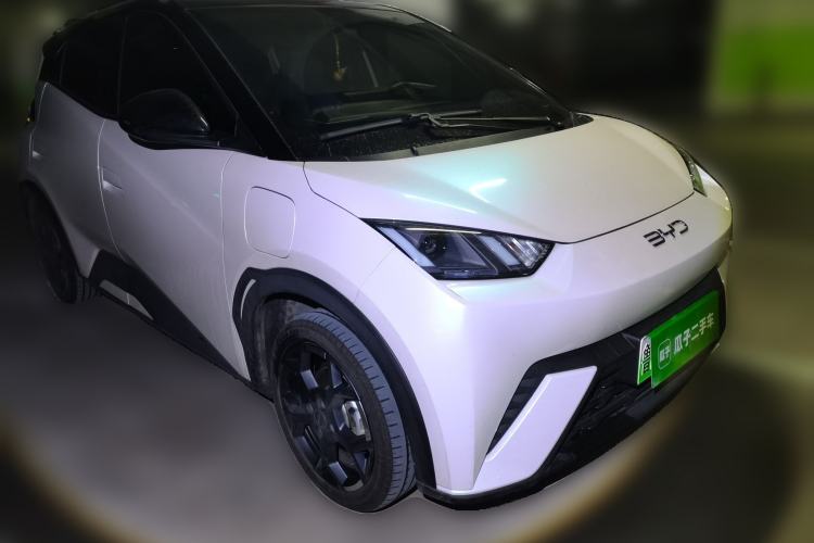 Used BYD Seagull 2025 305 km Free Version