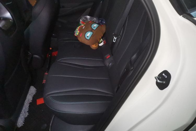 Used BYD Seal 06 New Energy 2025 DM-i Smart Drive 80KM Luxury Model Left Rear Seat