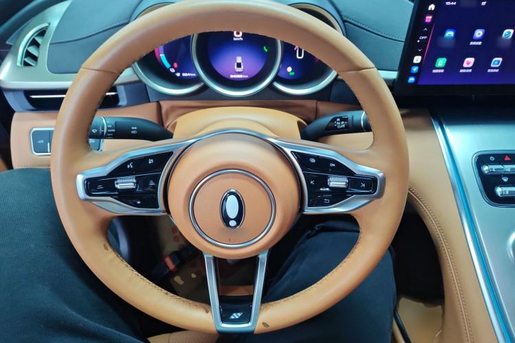 Used ORA Lightning Cat 2022 555 km Luxury Edition Steering Wheel