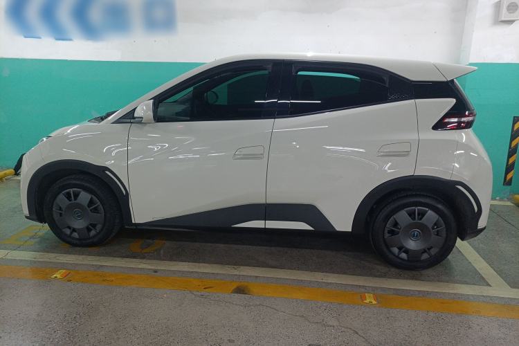 Used BYD Seagull 2024 Honor Edition 305km Dynamic Version
