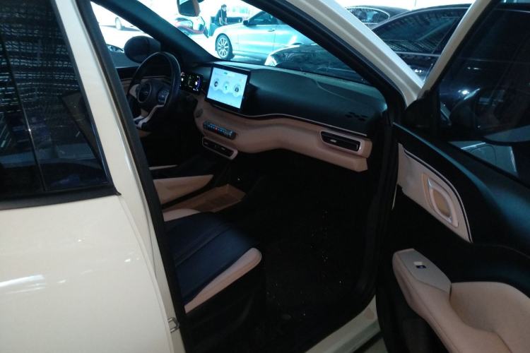 Used BYD Seagull 2023 Flying Edition Right Front Seat