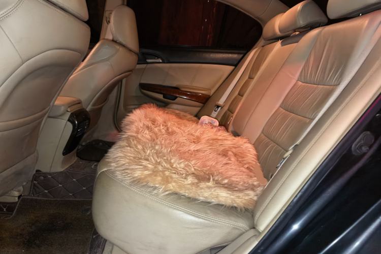 Used Honda Accord 2011 2.0L EX