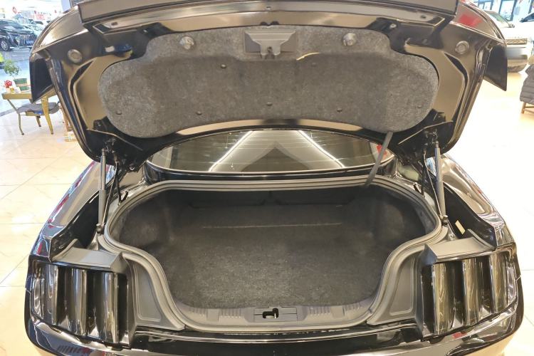 Used Ford Mustang 2015 2.3T Performance Edition
