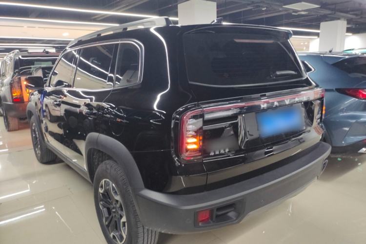 Used Haval DARGO 2024 2.0T DCT Chinese Rural Dog Edition

