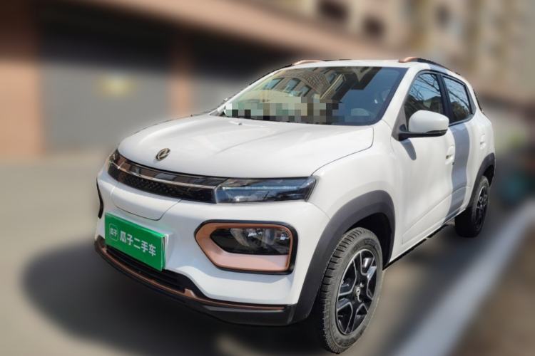 Used Dongfeng NAMMI EX1 2023 PRO Light Wind Edition Lightning Model