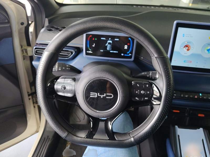 Used BYD Seagull 2025 305km Active Version — 10