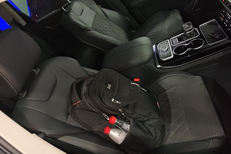 Used Hongqi HS7 2021 3.0T Automatic All-Wheel Drive Smart Connect Flagship Edition Right Front Seat