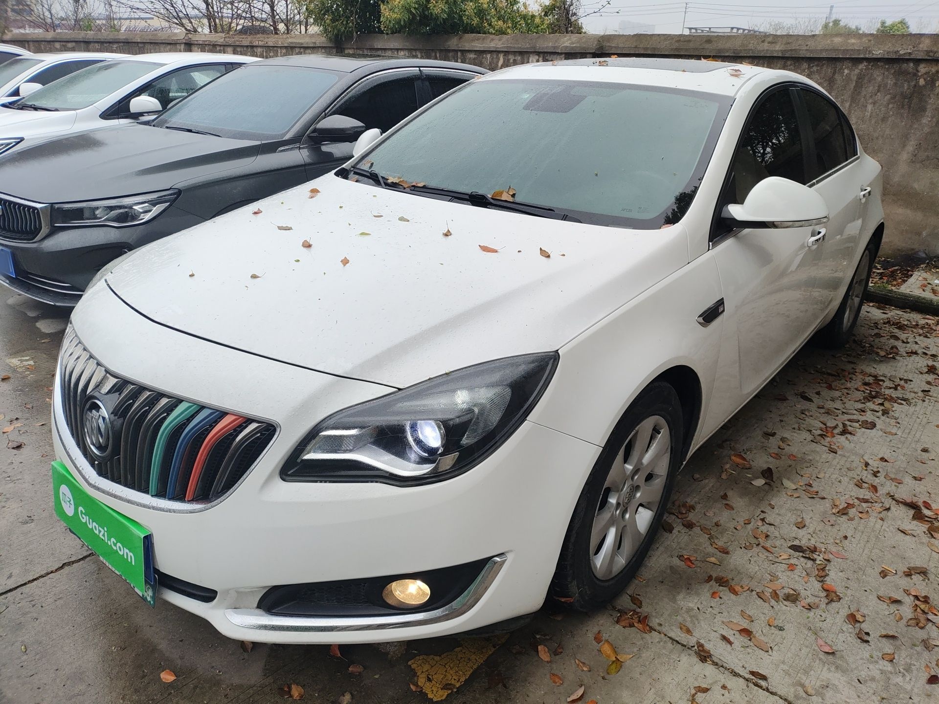 Parte inferior delantera