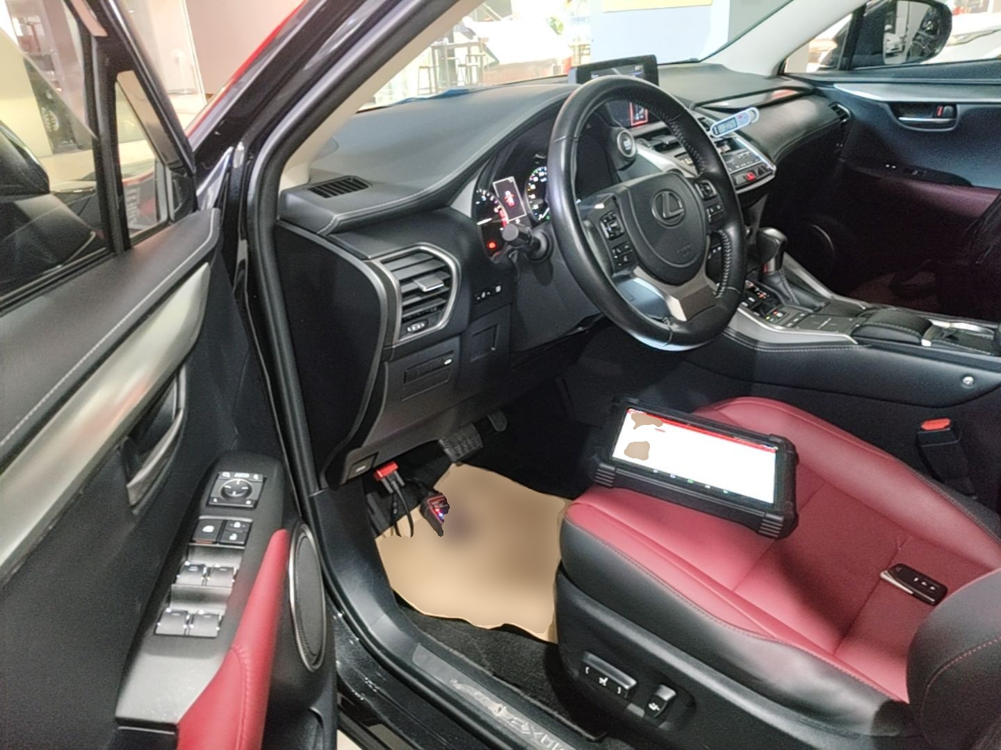 Interior delantero
