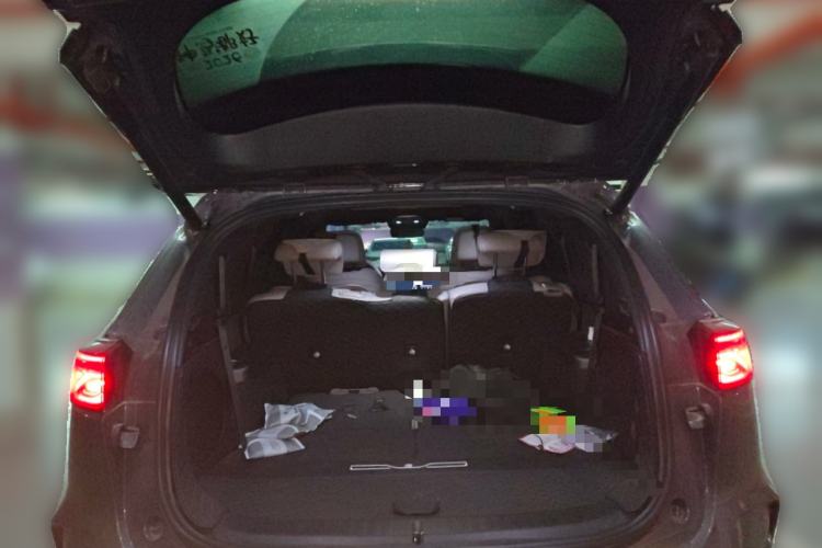 Used BYD Tang New Energy 2024 DM-i Glory Edition 200KM Flagship Model Trunk