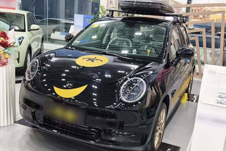 Used JAC Yiwei 3 2025 330km Black Pineapple Edition