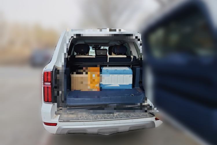 Used Tank 500 2022 3.0T Sport Edition "Creation" Version 5-Seater
