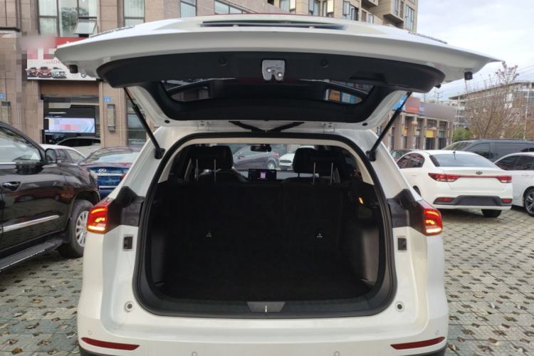 Used Haval H6 2023 National Trend Edition 1.5T Automatic Urban Version
