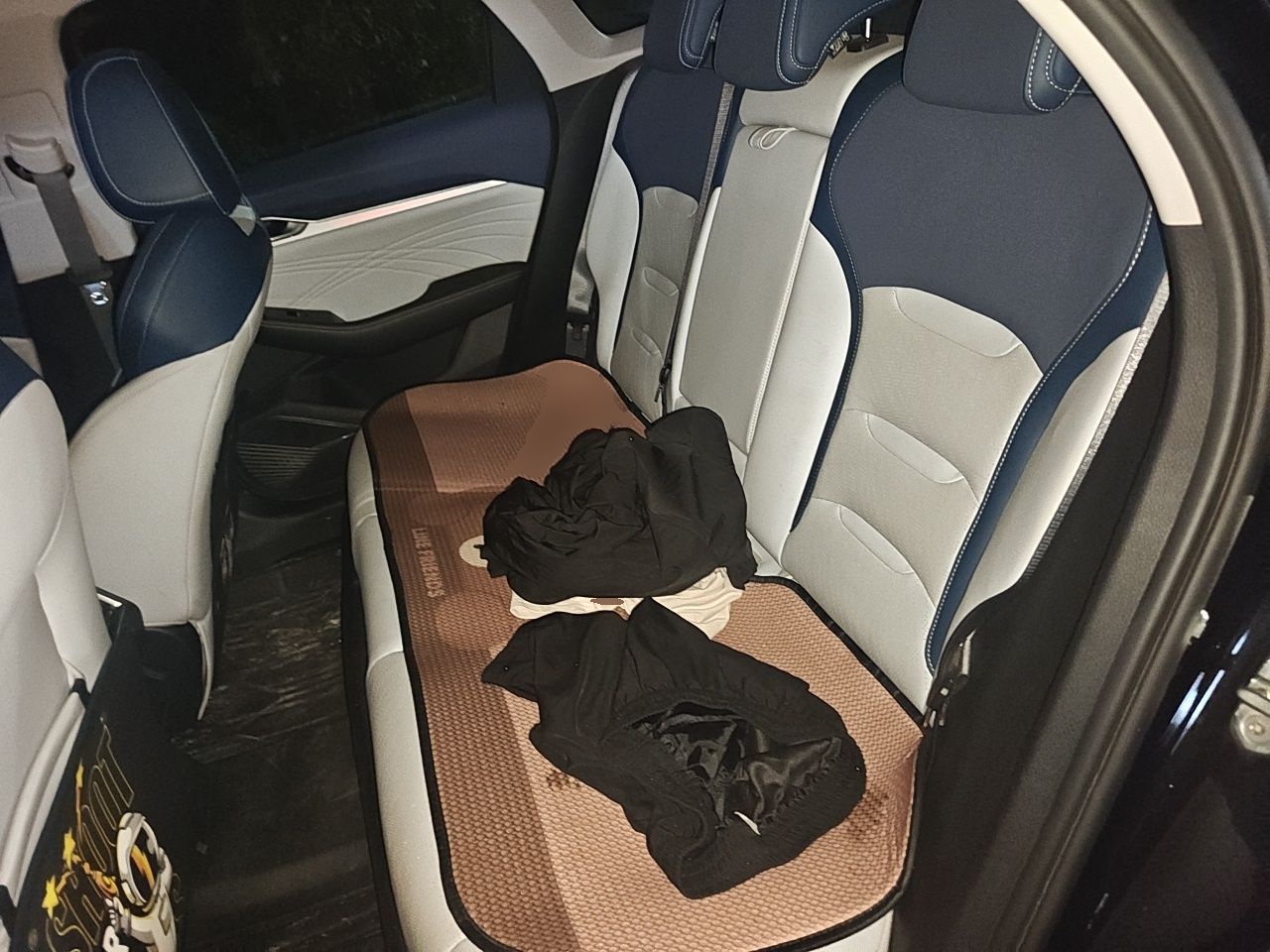 Geely Auto Preface 2023 2.0TD Prestige Version — снимка 17