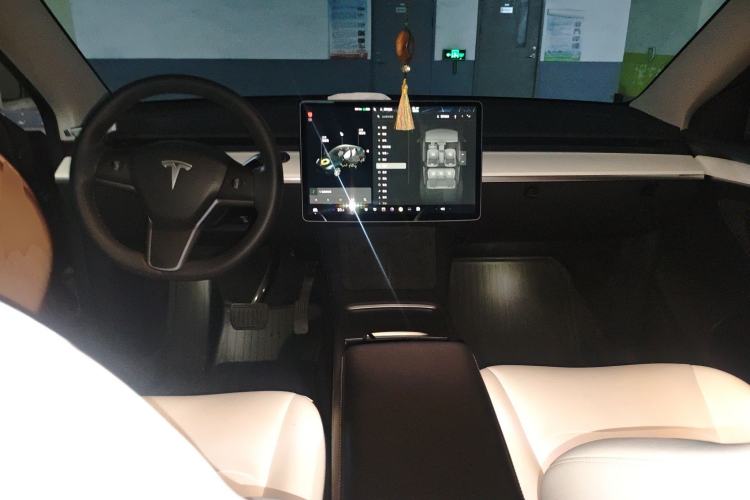 Used Tesla Model Y 2021 Standard Range Rear-Wheel Drive Version
