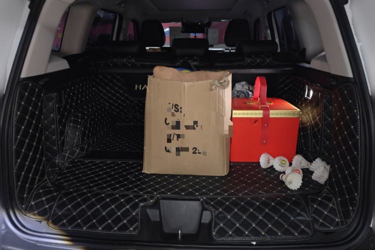 Used Haval DARGO 2021 1.5T DCT Two-Wheel Drive Border Collie Edition