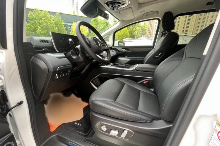 Used Wey Gaoshan 2023 Four-Wheel Drive Flagship Edition
