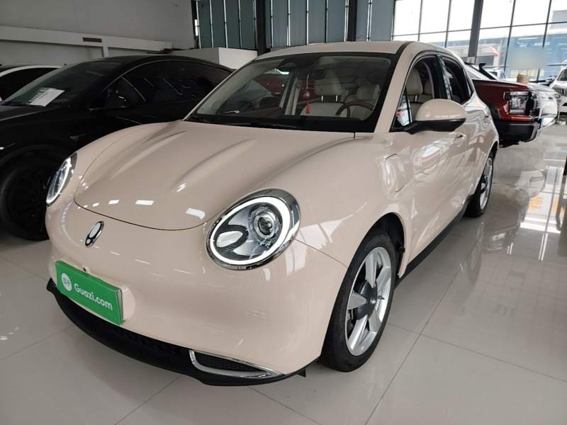 Used ORA Good Cat 2021 400km Standard Range Venus Edition Lithium-Ion Battery — 1