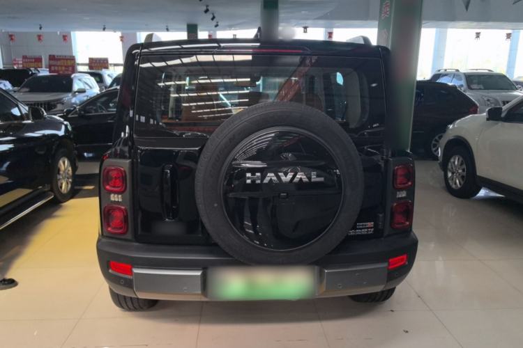 Used Haval Raptor New Energy 2024 Hi4 145 Pro Rear