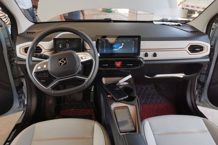 Used SOL E10X 2022 Flower Fairy Design Four-Leaf Clover