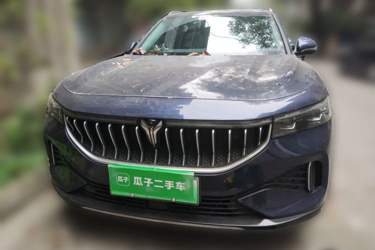 Used VOYAH FREE 2021 Two-Wheel Drive Standard Pure Electric City Edition Front